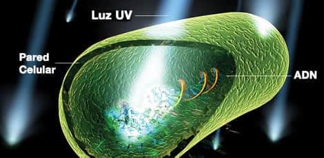 ¿Cómo funciona la desinfección ultravioleta?